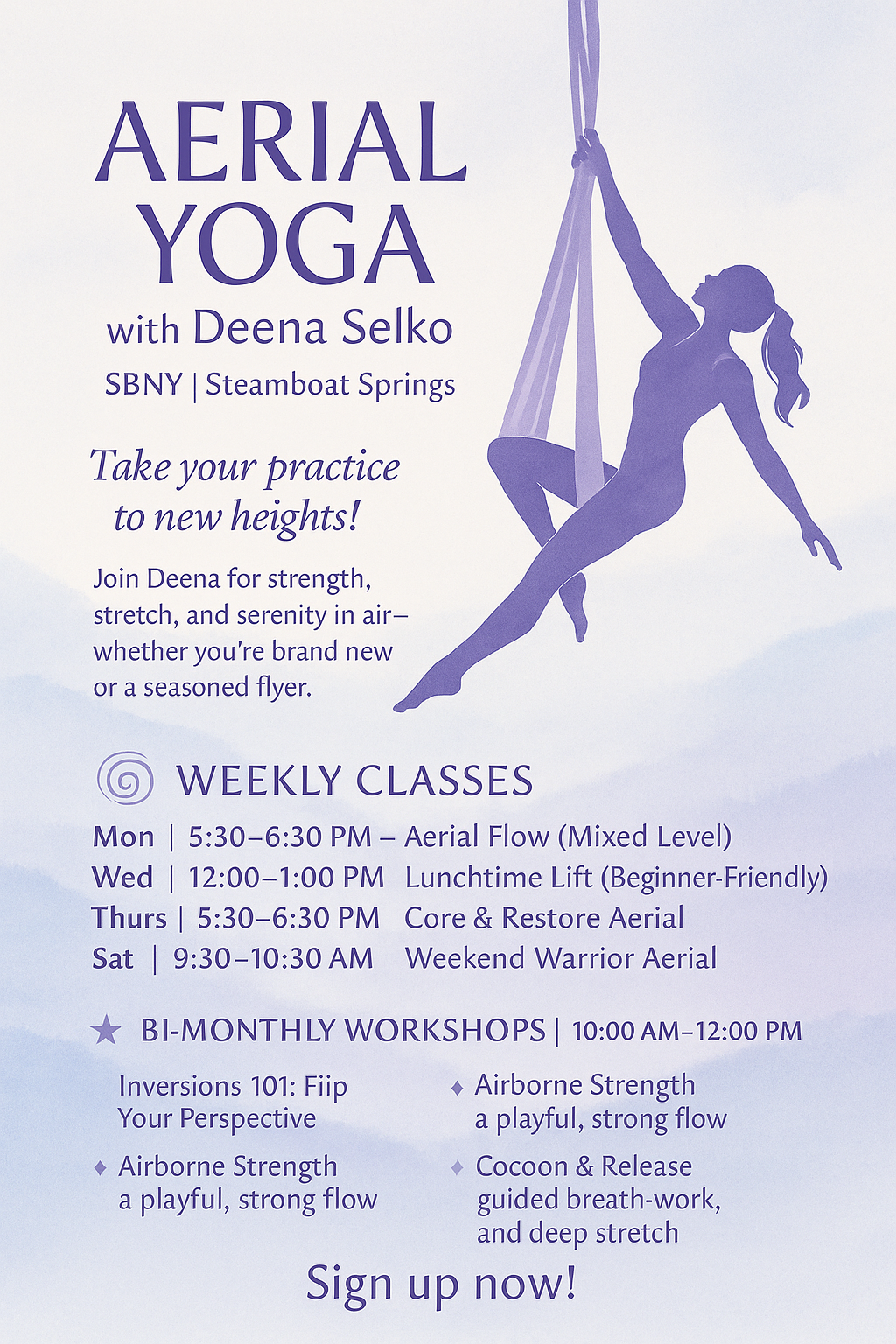 Aerial Yoga Workshops